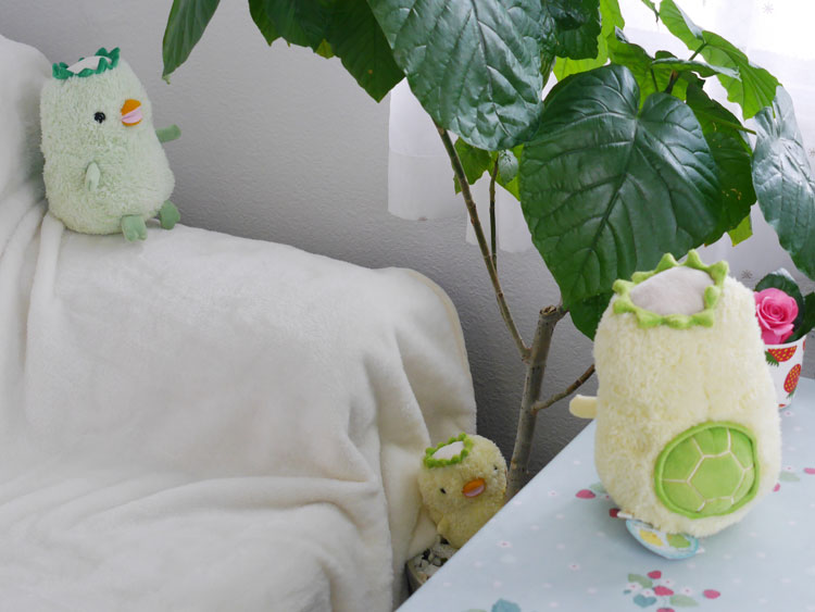 �٥��ӡ��⥢�����äѡ����åѡʲ�Ƹ�� ���꡼��S��  �������䥯�ꥹ�ޥ��Υץ쥼��Ȥˤ⡡ ưʪ���֤����Τ̤�����ߡ� ��ᡦ�����