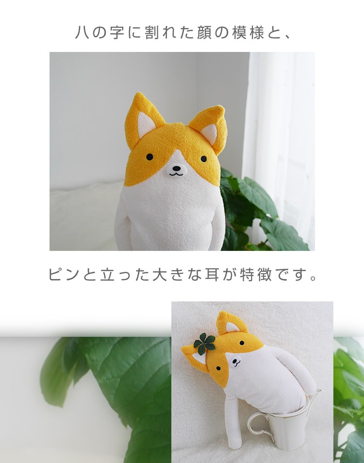 եե⤵󡡥ʥ L   ̤ դդ⤵ եդ  ⤷ ˡ 륭    ͧã ץ쥼  ץ쥼 Х󥿥 ۥ磻ȥǡ ꥹޥ ץ쥼 xmas ץ쥼 