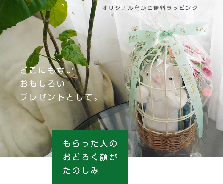 ֤ɤˤʤĻեȥåȡפäȶäץ饤ץ쥼Ȥ