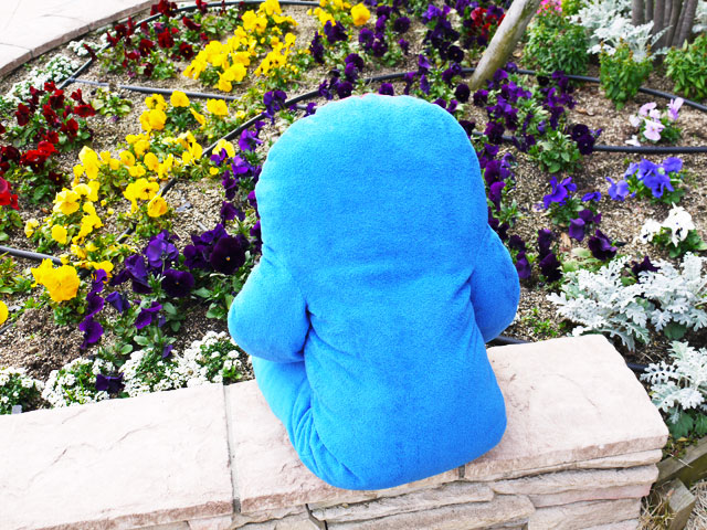 �ե�ե⤵�� �Ӥӡ�L��