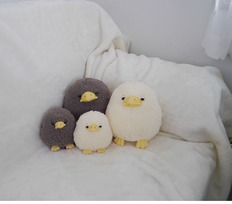 �Ҥ�̡ʤҤ褳���˥����ܥ꡼��M��  ���襤��/�������/������/1��/��/�������ץ쥼���/�ץ쥼���/����/��/�С����ǡ�/3��
