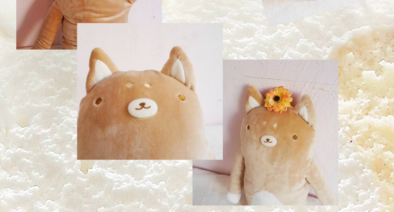 �դ�Ȥ� �ե�ե⤵�󡡤��(2L) ���礦�ɤ��������� ���� �� ���� �Ƹ� �̤��뤰�� ���� ���襤�� �դ�դ� ������ �꿨�� ��� ��� ���� ��ͧã �ץ쥼��� ����� �� ������ ��륭���