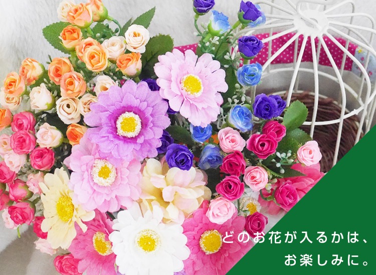 ֤ɤˤʤĻեȥåȡפäȶäץ饤ץ쥼Ȥ