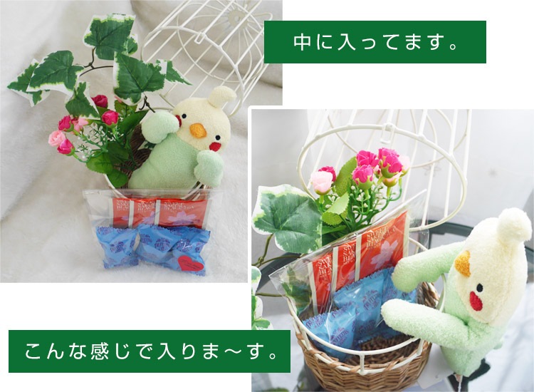 ֤ɤˤʤĻեȥåȡפäȶäץ饤ץ쥼Ȥ