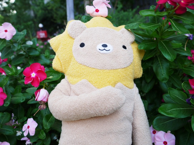 �ե�ե⤵�� ������ʥ���������L�� ưʪ �饤���� �̤������ �դ�դ⤵�� ��ե�դ��� ���� ���⤷�� ��ˡ��� ��륭���  ��� ��� ��ͧã �ץ쥼��� ������ �ץ쥼��� �Х�󥿥��� �ۥ磻�ȥǡ� ���ꥹ�ޥ� �ץ쥼��� xmas �ץ쥼��� �����