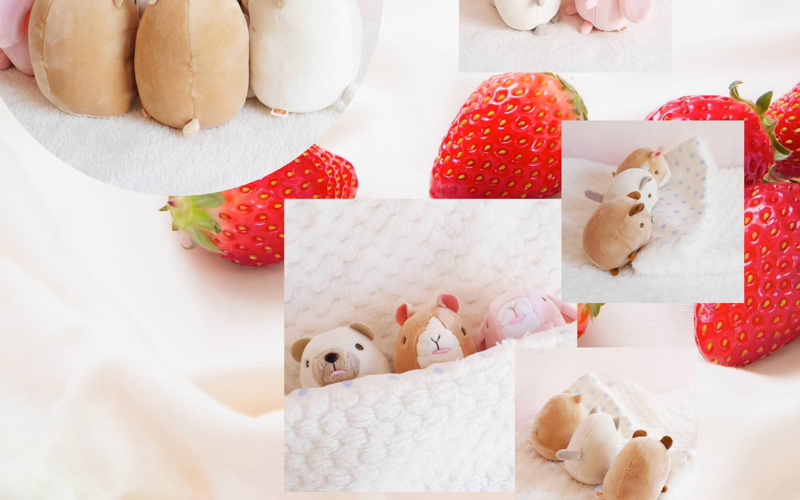 baby pure �ϥॹ����(�ץ�) �٥��ӡ��ԥ奢 baby nature �٥��ӡ��ʥ���� �ϥॹ���� �̤������ ưʪ ���� �դ�դ� ���� ���襤�� ��� ��� ���� ��ͧã �ץ쥼��� ����� �� ������ ��륭���