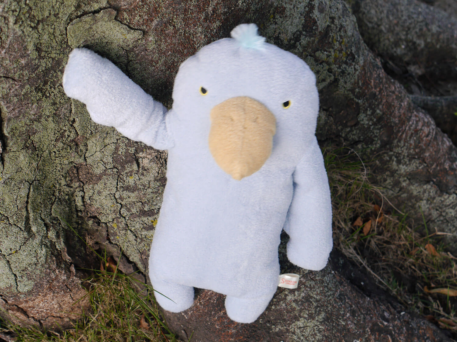 �ե�ե⤵�󡡤��Ȥȡ�L��