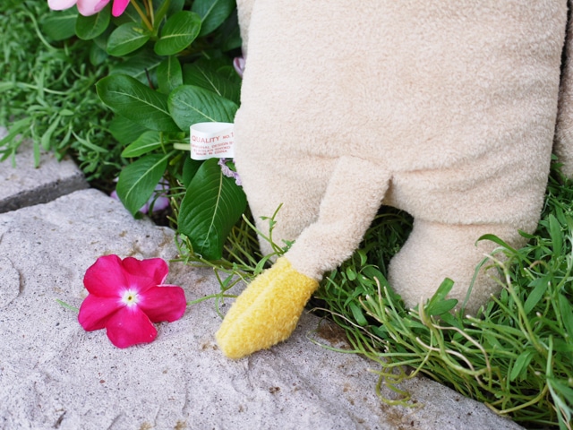 �ե�ե⤵�� ������ʥ���������L�� ưʪ �饤���� �̤������ �դ�դ⤵�� ��ե�դ��� ���� ���⤷�� ��ˡ��� ��륭���  ��� ��� ��ͧã �ץ쥼��� ������ �ץ쥼��� �Х�󥿥��� �ۥ磻�ȥǡ� ���ꥹ�ޥ� �ץ쥼��� xmas �ץ쥼��� �����
