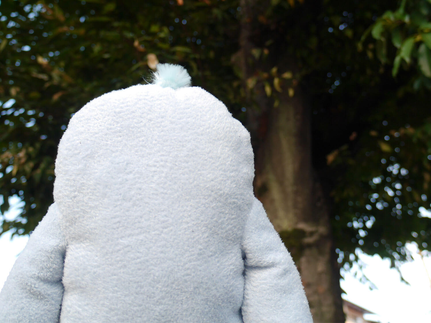 �ե�ե⤵�󡡤��Ȥȡ�L��