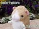 baby nature �٥��ӡ��ʥ���졡 �ϥॹ�����ʥ١����塦M�ˡ�  �İ���ưʪ���֤���󤿤��Τ̤������ �٥��ӡ��ʥ���졡���ʥ����� �ץ쥼��Ȥˤ⡡  �ץ쥼��� ���ե�