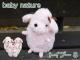 baby��nature�� �٥��ӡ��ʥ���졡�ȥ��ס��� �ԥ󥯡�S��  ���ʥ��Τ��襤���ȥ��ס��ɥ�Τ̤�����ߥץ쥼��� ���ե�