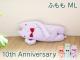 �ե�ե⤵�� 10th Anniversary �դ�� ML 10��ǯ��ǰ�θ��ꥢ���ƥ� 