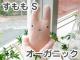 �ե�ե⤵�� �������˥å� ����� �ʥԥ󥯡�S�� �İ��������Τ̤������ ���ʥ��� GReeeeN��PV�ˤ��о� �ʤ��襤�� ���⤷�� �̤������ ���å� �������ץ쥼��� ���ե� £��ʪ ��� ���� ���λ� ��ͧã �ץ쥼���)  S�����ɾ����礭��21cm �����