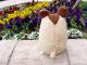 baby nature �٥��ӡ��ʥ���� ������(�١����塦M) �İ���ưʪ���֤���󤿤��Τ̤������ �٥��ӡ����ȥ�å� ���ʥ��� �ץ쥼��� �ץ쥼��� ���ե� �̤������ ���å� ���� ���ȥ�å�(���襤�� ���⤷�� �������ץ쥼��� ��� ���� ��ͧã��)