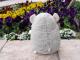 baby nature �٥��ӡ��ʥ���졡 �ϥॹ�����ʥ��졼��M�ˡ�  �İ���ưʪ���֤���󤿤��Τ̤������ �٥��ӡ��ʥ���졡���ʥ����� �ץ쥼��Ȥˤ⡡  �ץ쥼��� ���ե�