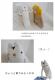 �ڥե�ե⤵�����ѡۿ��������������С��� ���餳�������롡 �ɥå�����(ML)  �̤������ ��¸ �ݴ� �ѥ���� �ץ쥼��� �ե�ե⤵�� �����С�