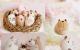 baby pure ���ԥХ�(M) �٥��ӡ��ԥ奢 baby nature �٥��ӡ��ʥ���� ���ԥѥ� �̤������ ���ԤФ� ưʪ ���� �դ�դ� ���� ���襤�� ��� ��� ���� ��ͧã �ץ쥼��� ����� �� ������ ��륭���