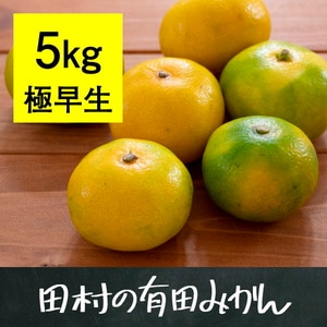 有田みかん5kg(極早生)【10月26日頃～出荷】