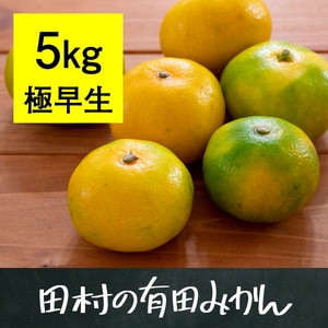 有田みかん5kg(極早生)【到着日指定不可】