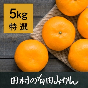 田村の有田みかん5kg(特選)【1月25日迄】