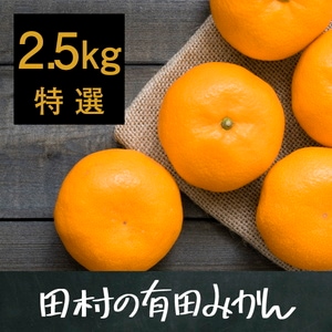 田村の有田みかん2.5kg(特選)【11月15日頃から出荷】