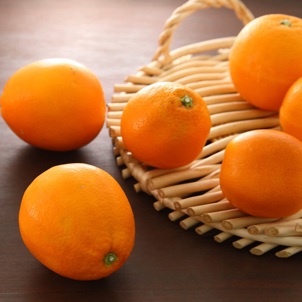 小南のブラッドオレンジ3kg(タロッコ) 和歌山県有田郡湯浅町産 | 小南