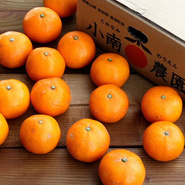 田村の有田みかん3kg(家庭用)