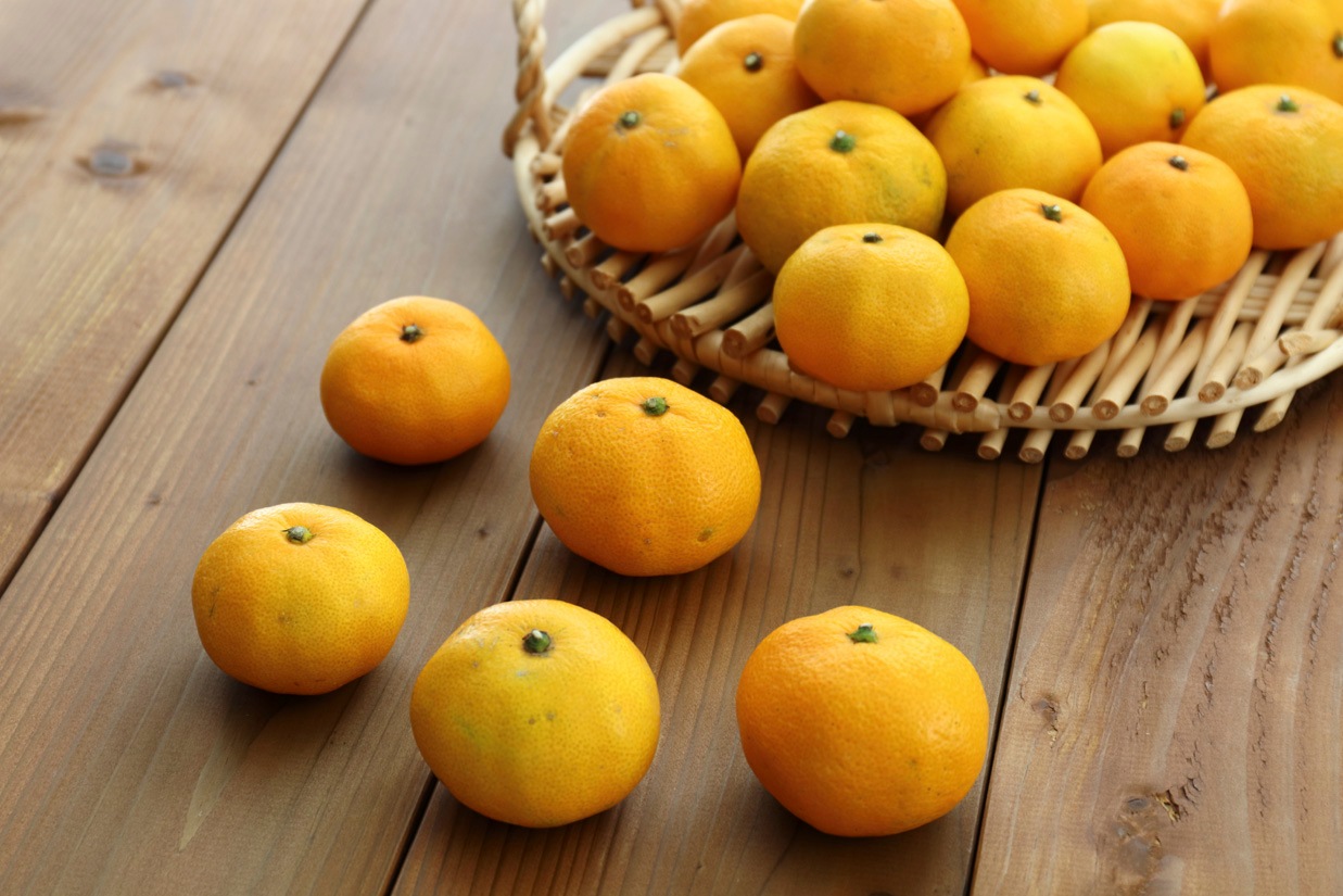 有田みかん5kg(極早生)【10月27日頃～出荷】