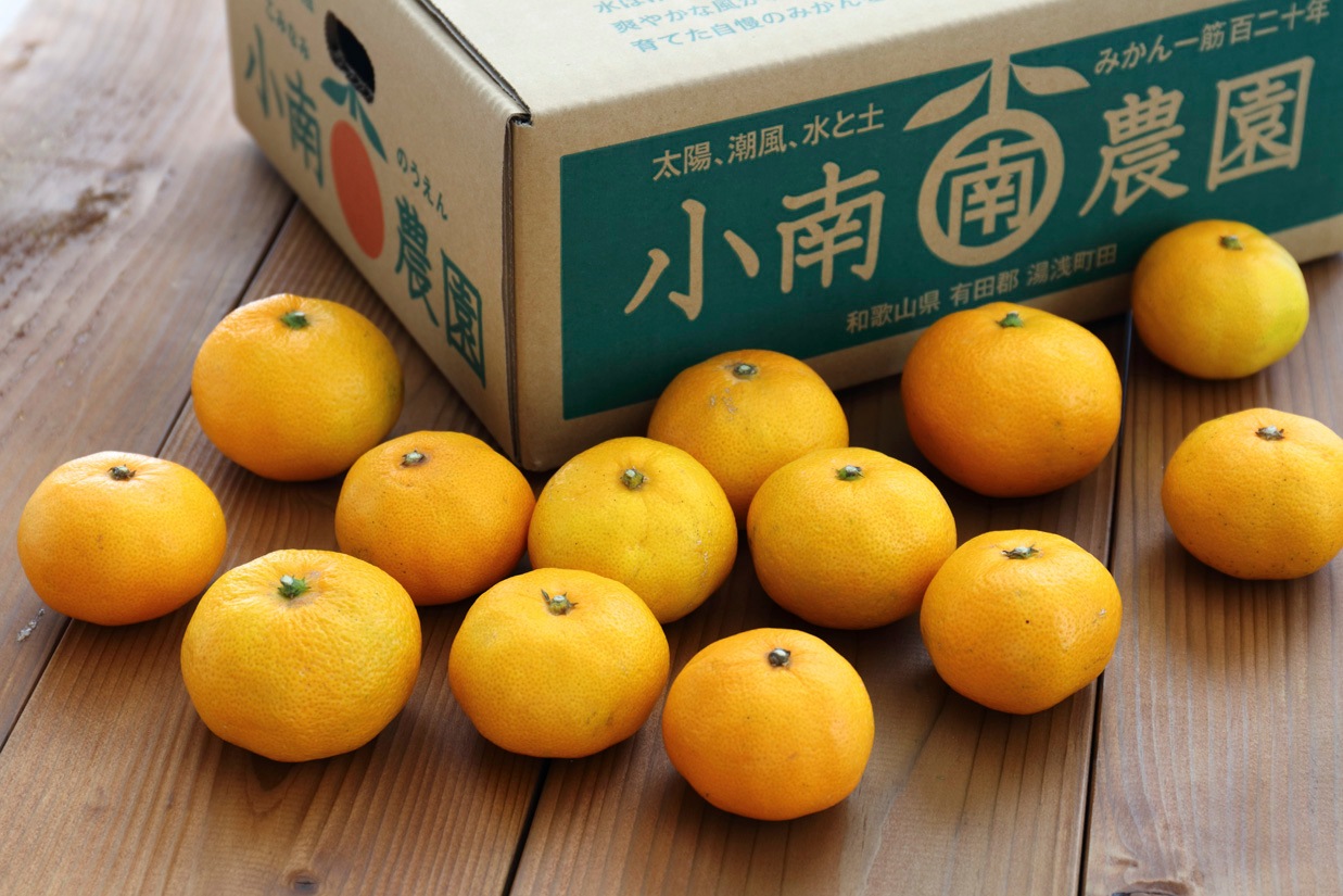 有田みかん5kg(極早生)【10月27日頃～出荷】