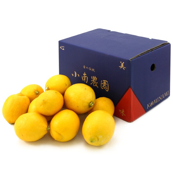 小南のリスボンレモン1kg