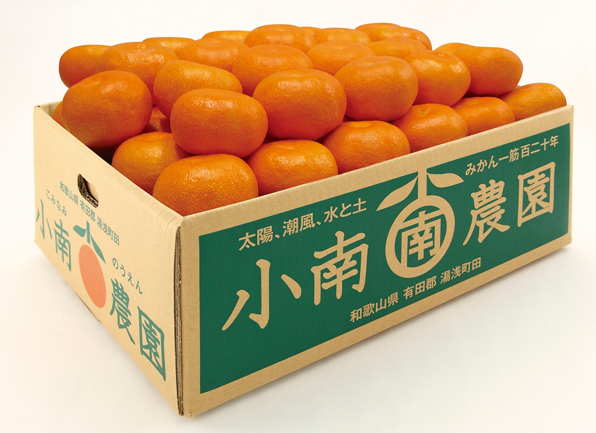 田村の有田みかん5kg(特選)【1月6日以降出荷】