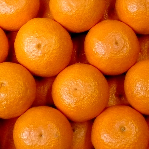 小南のカラマンダリン3kg(2L)