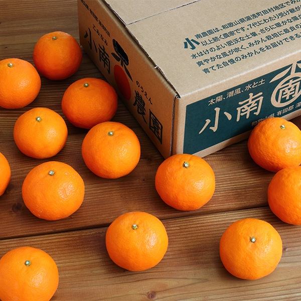 小南のカラマンダリン3kg(2L)