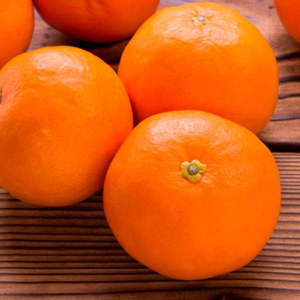 小南のセミノール5kg