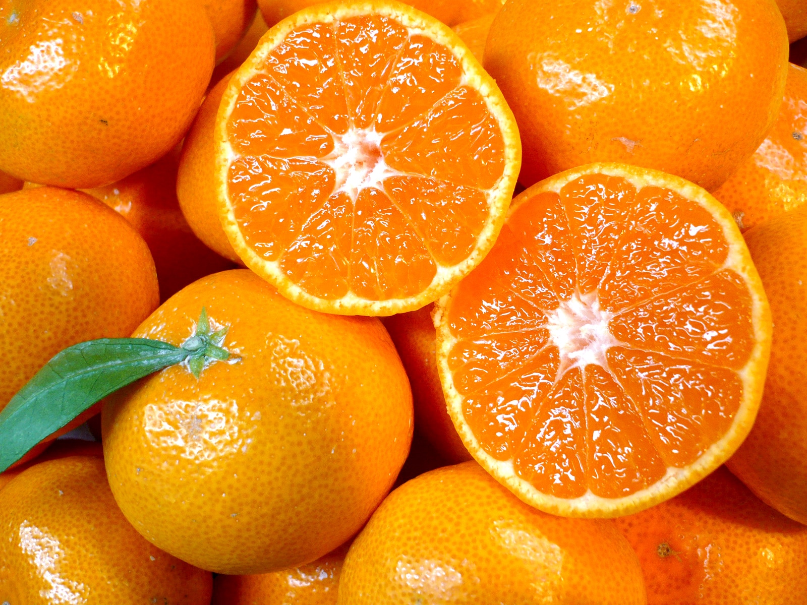 田村の有田みかん2.5kg(特選)【11月15日頃から出荷】