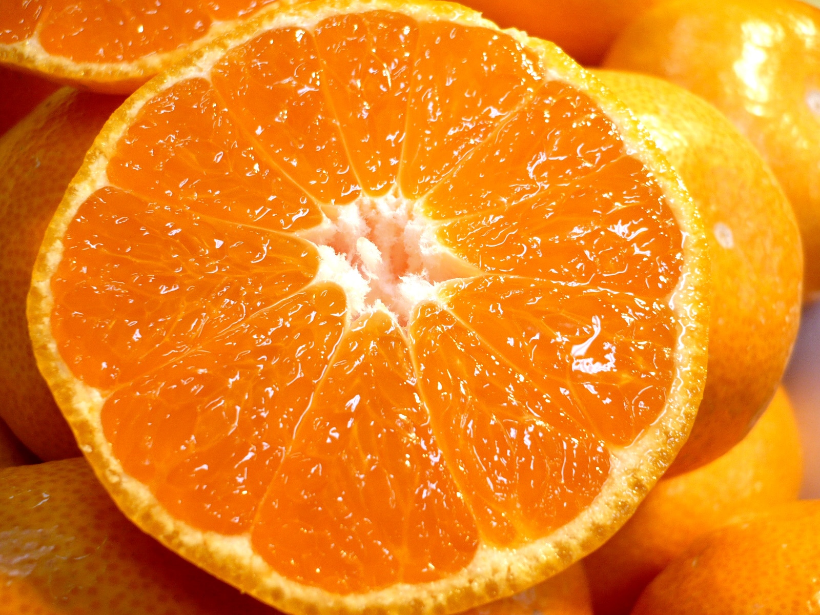 田村の有田みかん2.5kg(特選)【11月15日頃から出荷】