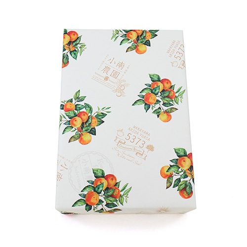 田村みかんジュース・ゼリーセット