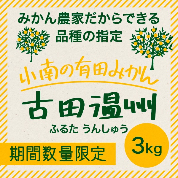 小南の古田温州 3kg【1月10日頃出荷予定】