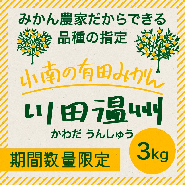 【12月中旬収穫】小南の川田温州 3kg