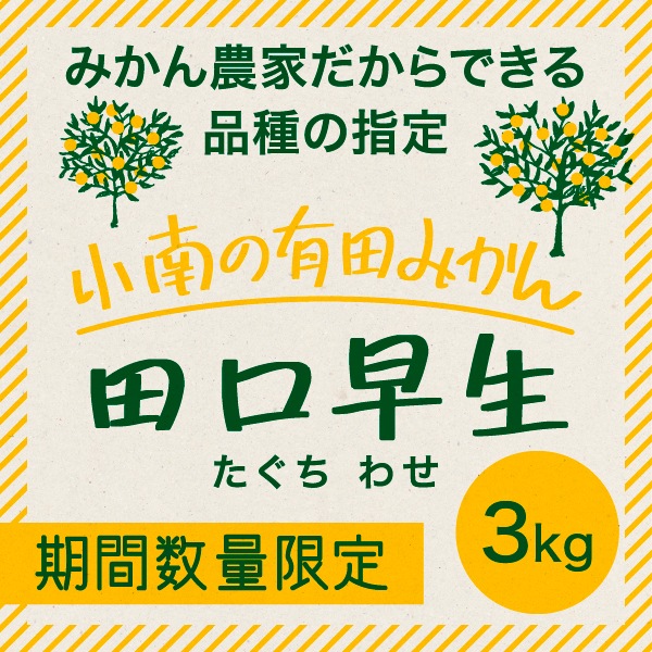 【11月中旬～12月上旬】小南の田口早生みかん 3kg