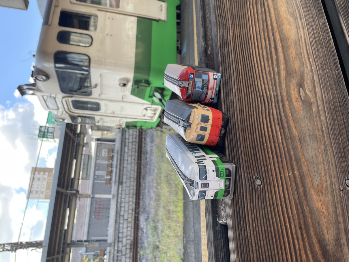 列車の旅 のんびり 旅列車(小湊鉄道) 500ピース ジグソーパズル 2025年最新】鉄道の旅 ジグソーパズルの人気アイテム - メルカリ