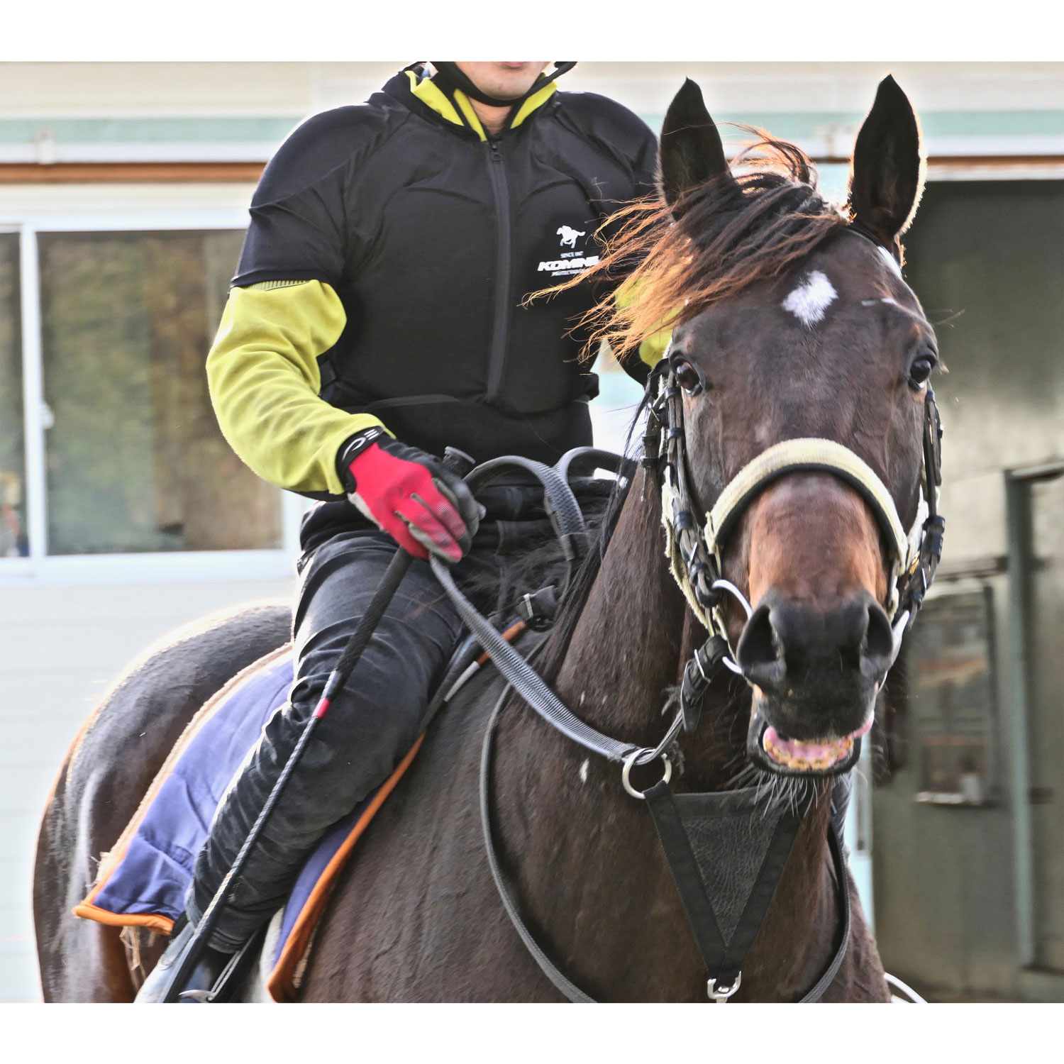 SK-832 ۡ饤ǥ󥰥ץƥ󥦥