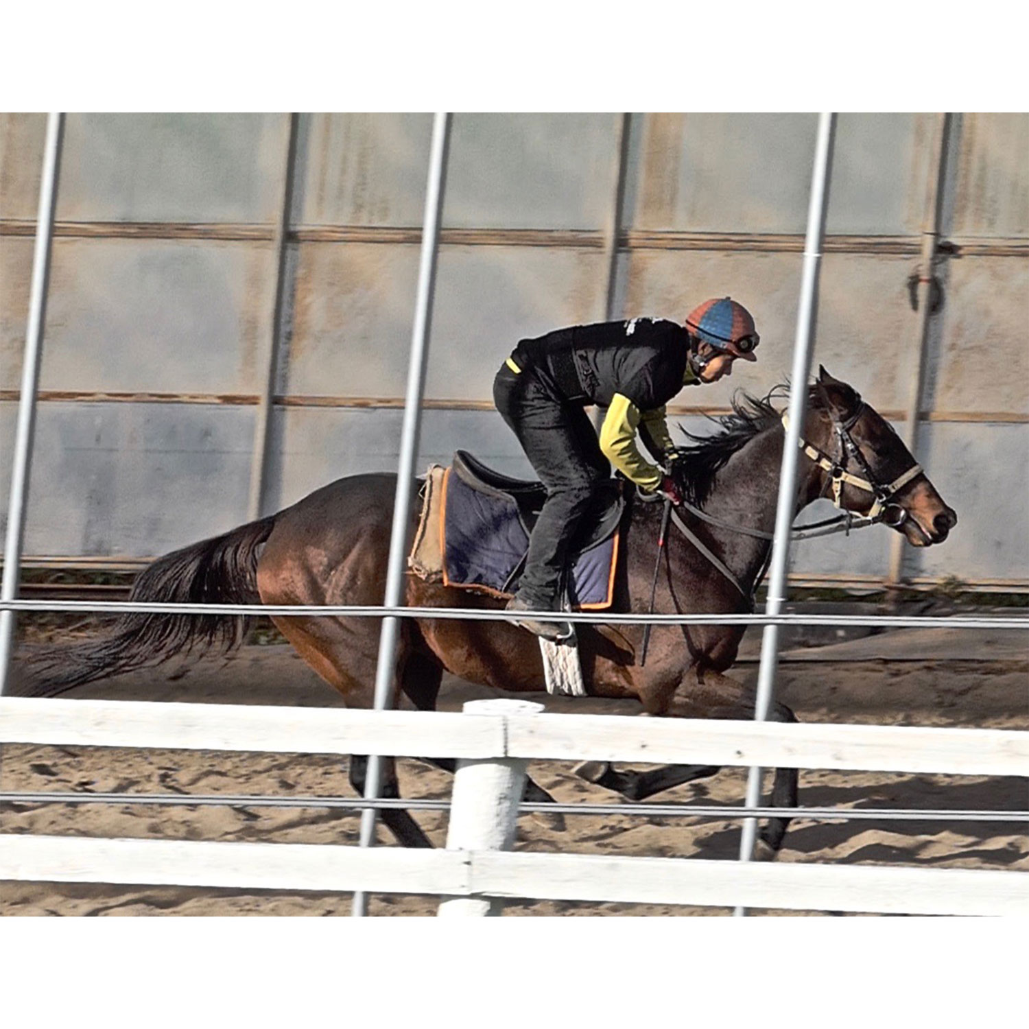 SK-832 ۡ饤ǥ󥰥ץƥ󥦥