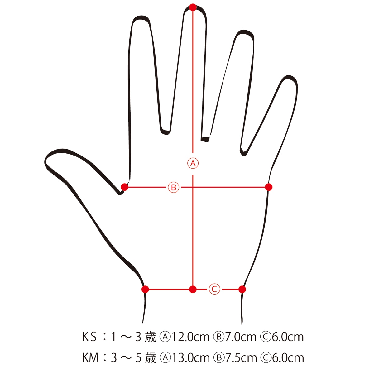 RGK-006 ץƥȥåå奰