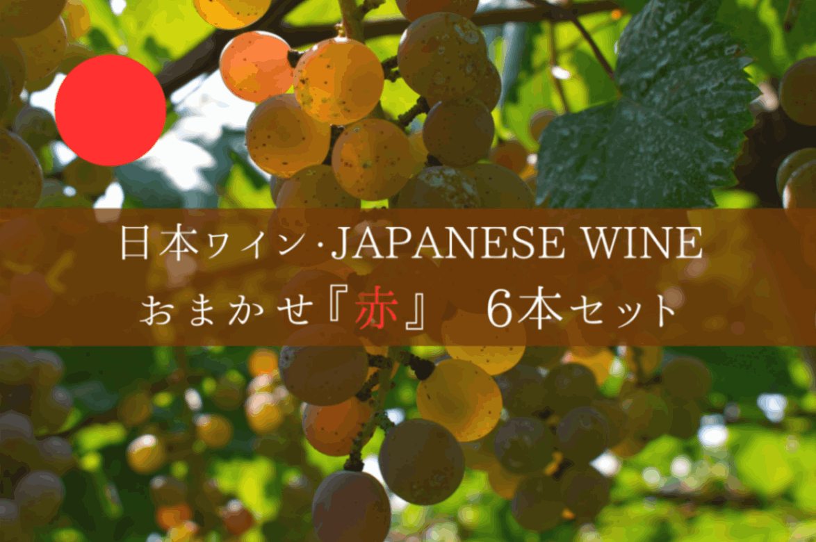 ◆ 日本ワイン約100社の取り扱いの中から厳選する　日本ワイン6本セット　赤Ver. ◆