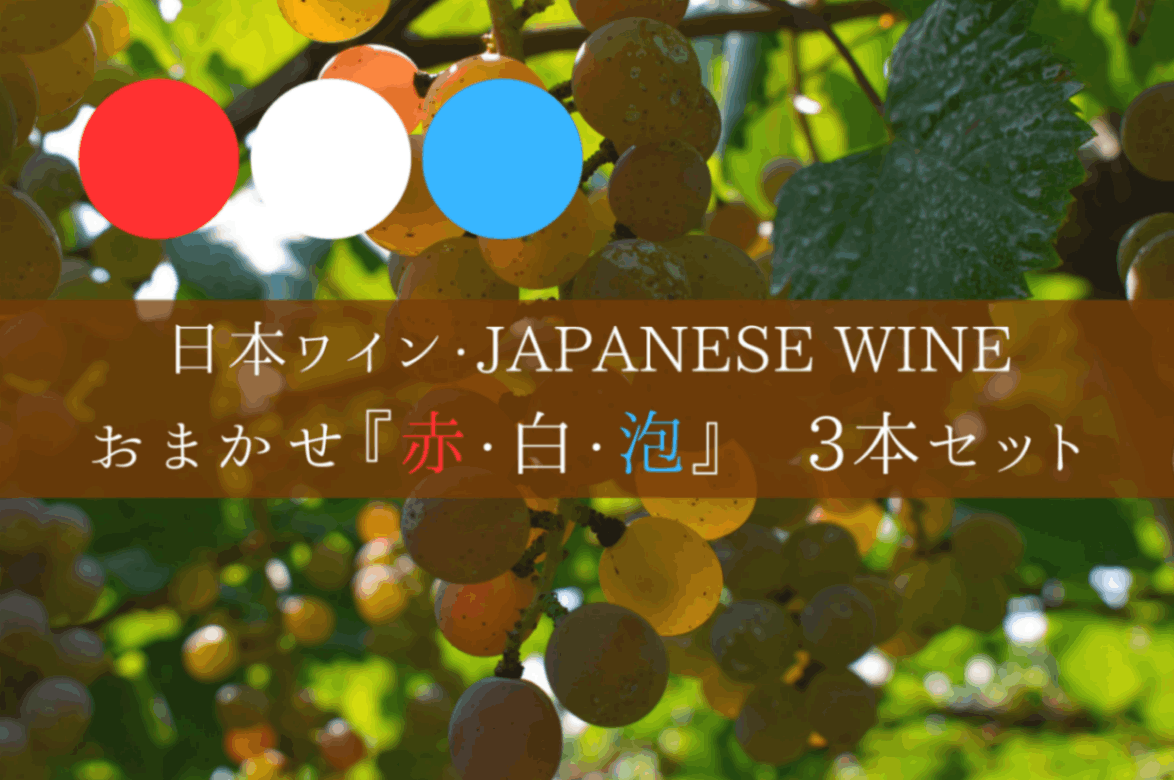 ◆ 日本ワイン約100社の取り扱いの中から厳選する　日本ワイン3本セット　赤白泡Ver. ◆
