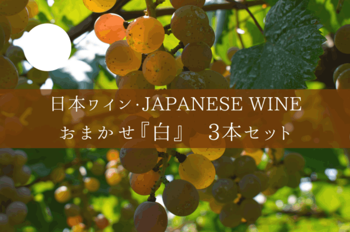 ◆ 日本ワイン約100社の取り扱いの中から厳選する　日本ワイン3本セット　白Ver. ◆