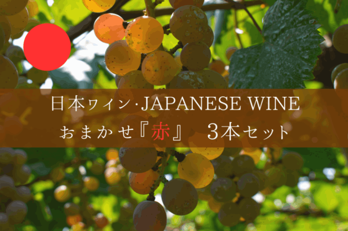 ◆ 日本ワイン約100社の取り扱いの中から厳選する　日本ワイン3本セット　赤Ver. ◆