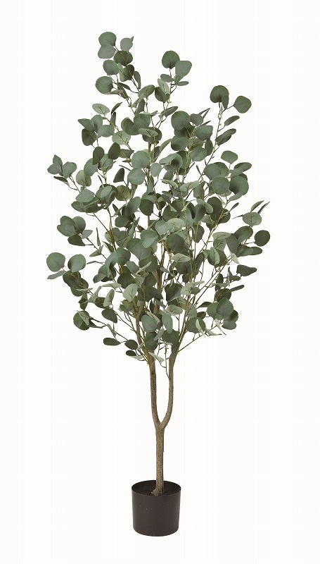 フェイクグリーン　ユーカリ(ポット付)