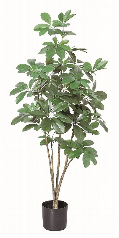 フェイクグリーン シェフレラ(ポット付)